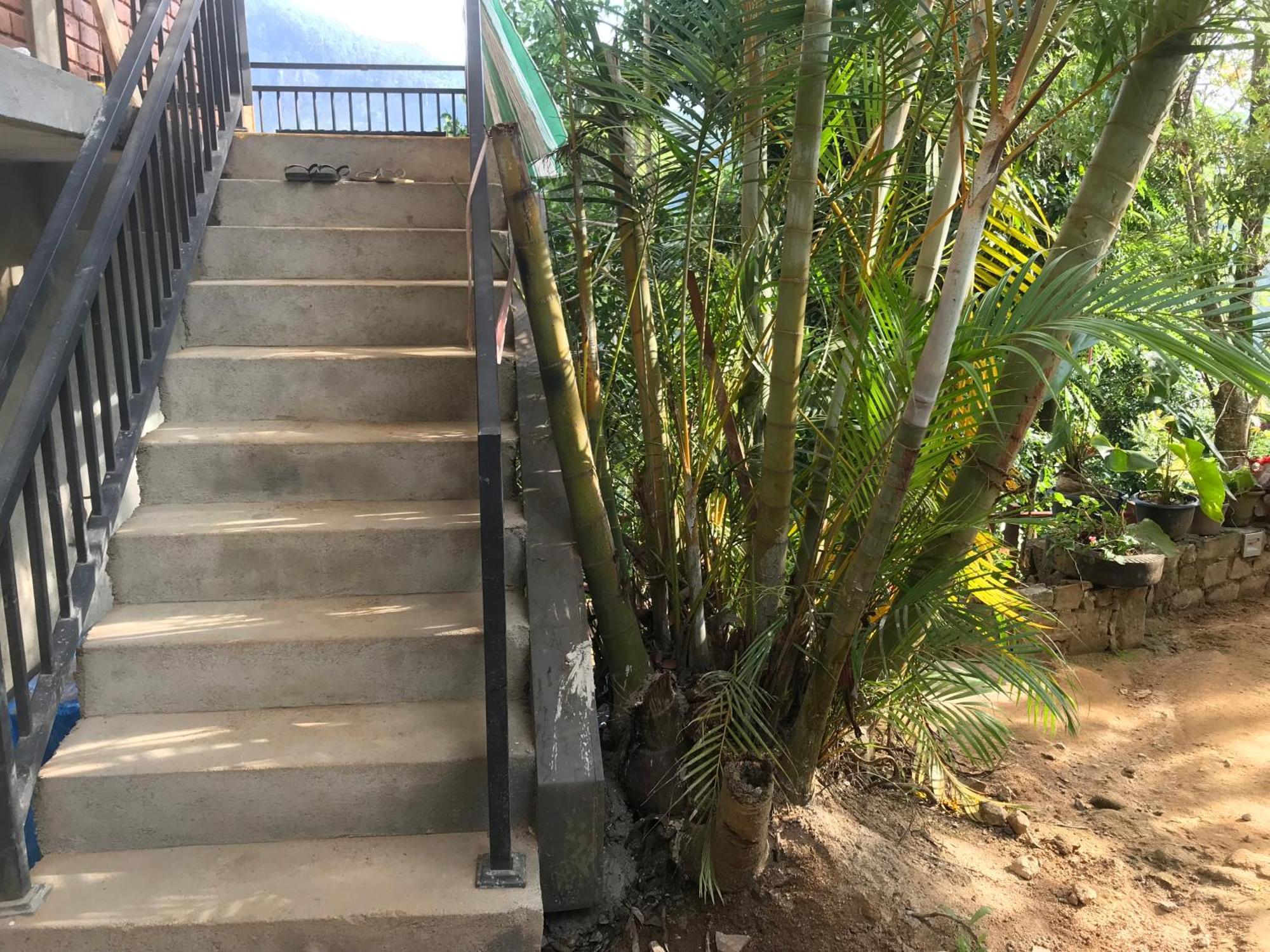 Ridge View Guest House -Ella Exterior photo